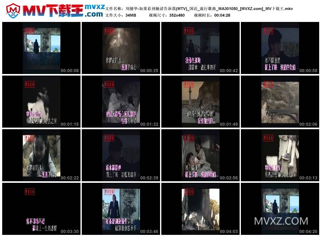 刘德华-如果看到她请告诉我(MTV)_国语_流行歌曲_MA301050